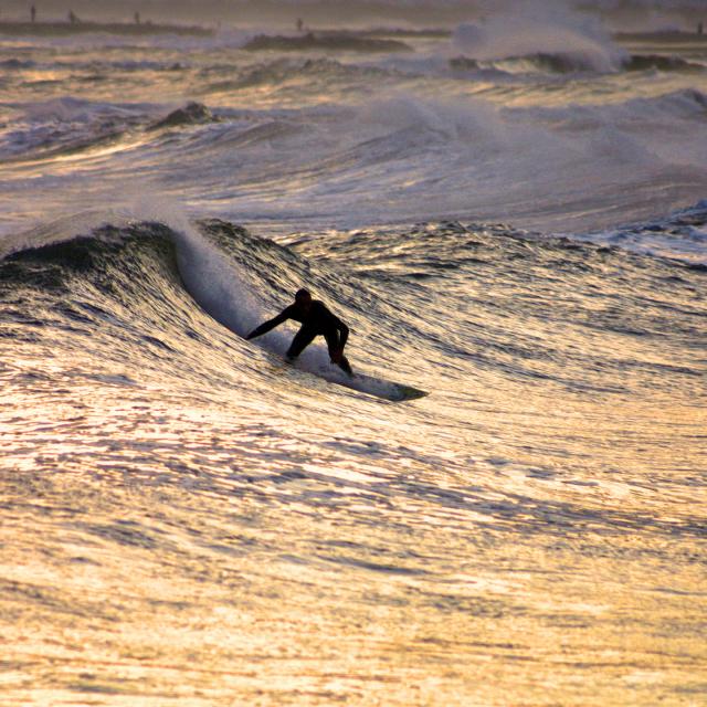 11 Novembre Rider Ni Spot Les Coquilles