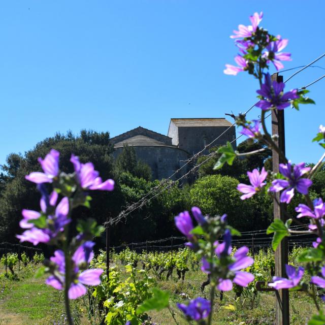 maguelone62019florianhegoburuotpalavas-scaled.jpg