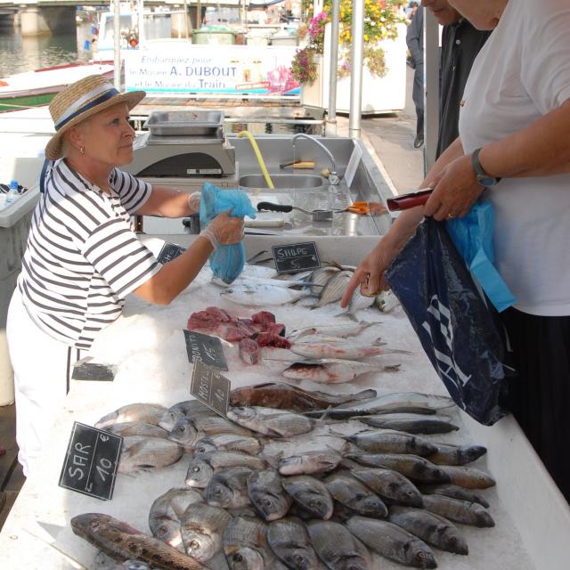 Pvalette08 Poisson2