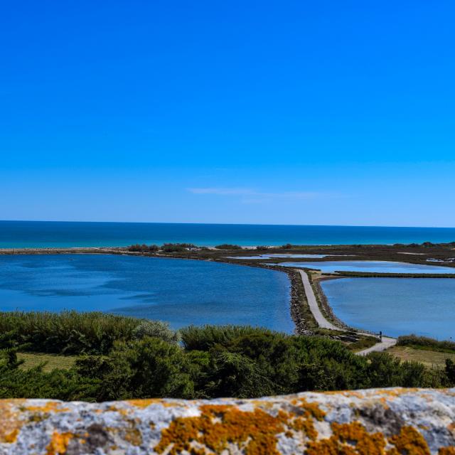 Maguelone20©2019florianhegoburuotpalavas