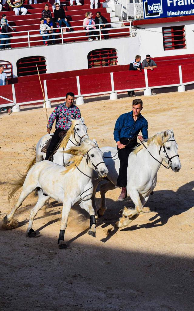 Feria©2019 F.hegoburu Ot Palavas Les Flots