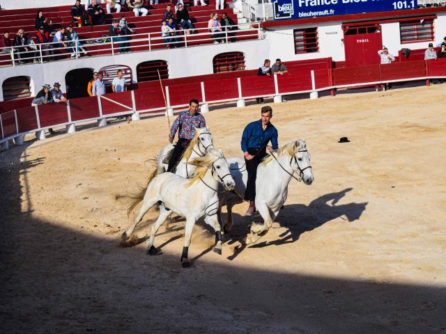 Feria©2019 F.hegoburu Ot Palavas Les Flots