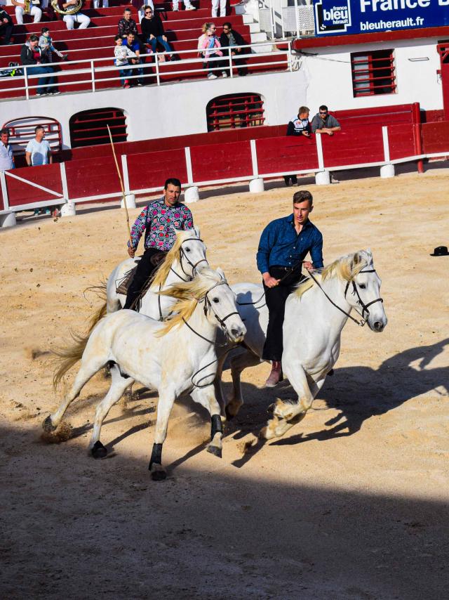 Feria©2019 F.hegoburu Ot Palavas Les Flots