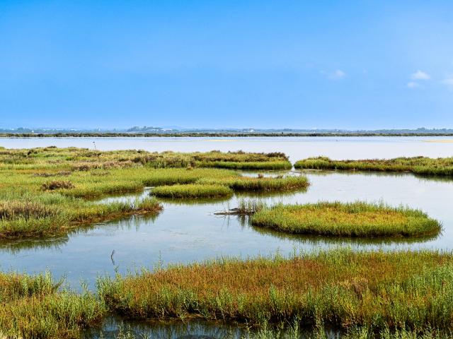 Etangs à Palavas 2022 Ot Palavas Les Flots