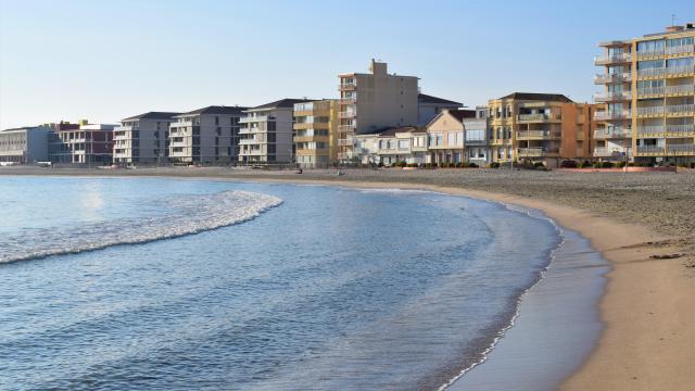 La Plage En Hiver @ot Palavas Les Flots Caroline T (3)