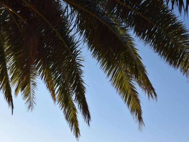 La Plage En Hiver Ot Palavas Les Flots Caroline T (9)