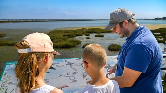 Visite guidée à Palavas-les-Flots : le charme des étangs