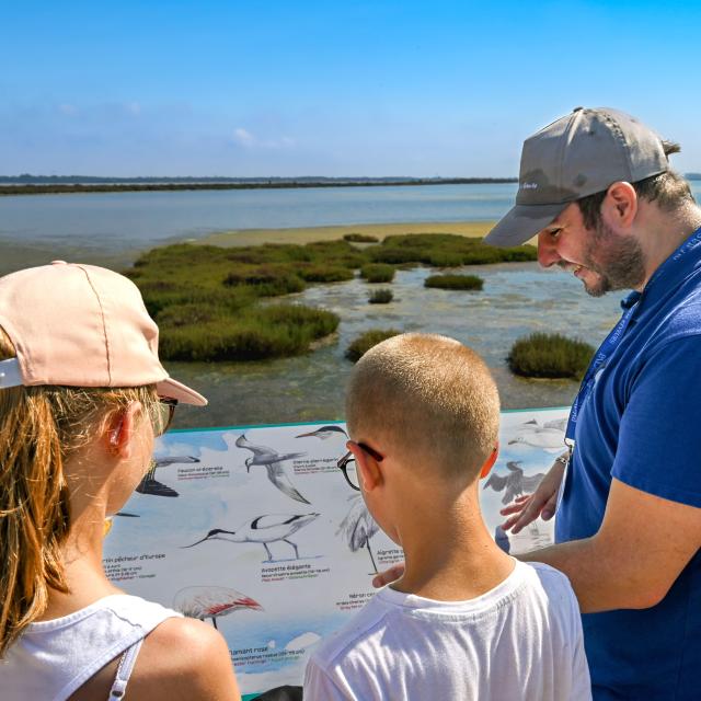 Visite guidée à Palavas-les-Flots : le charme des étangs