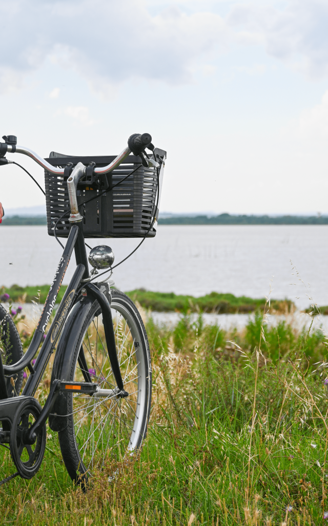 Location de vélos à Palavas-les-Flots cycloloc 2023