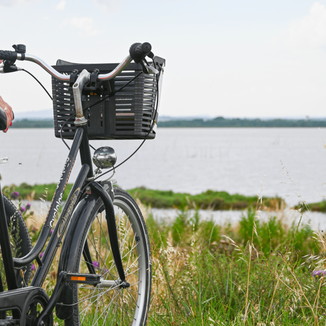 Location de vélos à Palavas-les-Flots cycloloc 2023