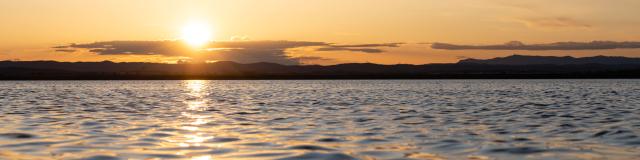 Coucher de soleil sur les étangs à Palavas-les-Flots : immersion nature