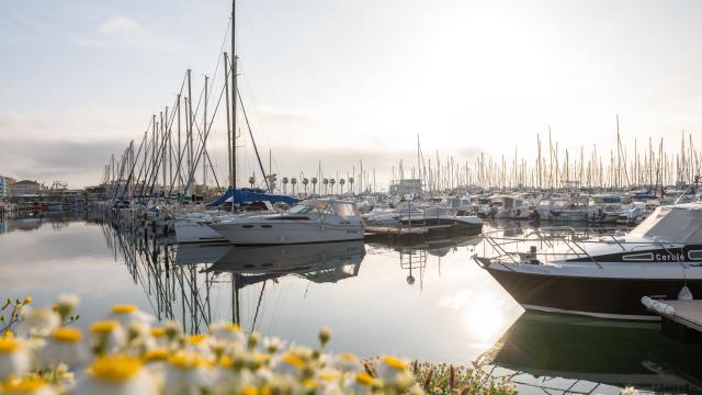 Port de plaisance à Palavas-les-Flots