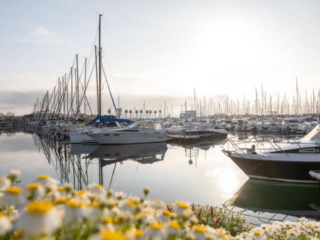 Port de plaisance à Palavas-les-Flots