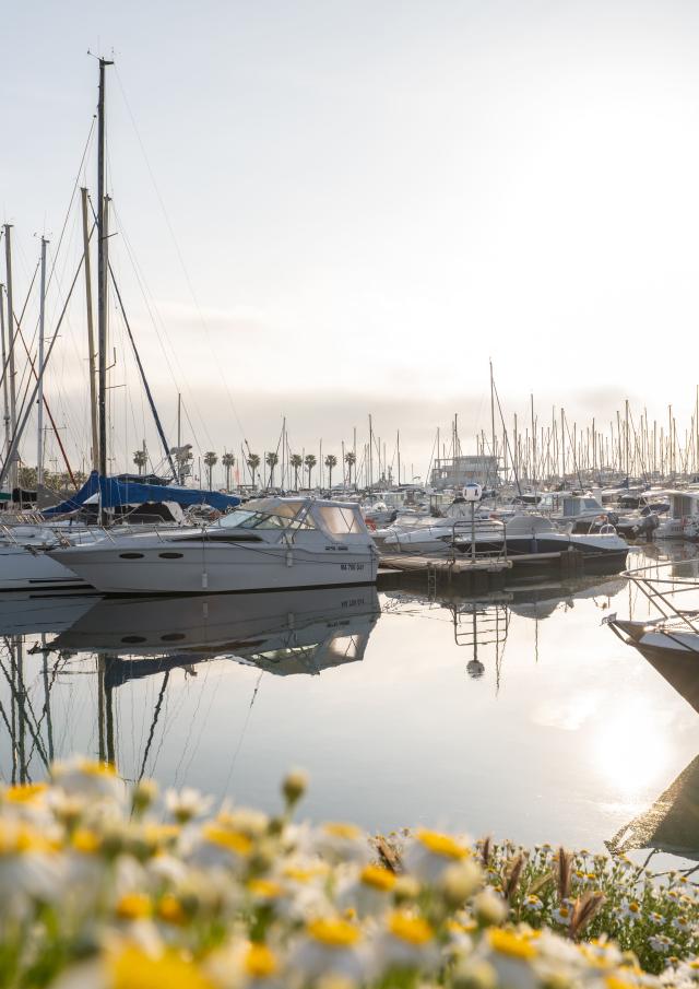 Port de plaisance à Palavas-les-Flots