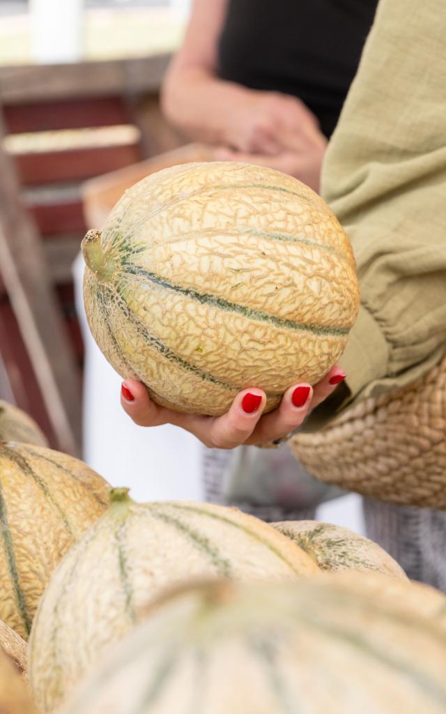 Les jours de marchés à Palavas-les-Flots 2023