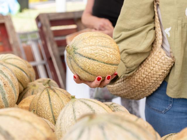 Les jours de marchés à Palavas-les-Flots 2023