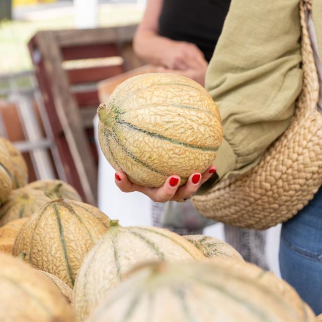 Les jours de marchés à Palavas-les-Flots 2023