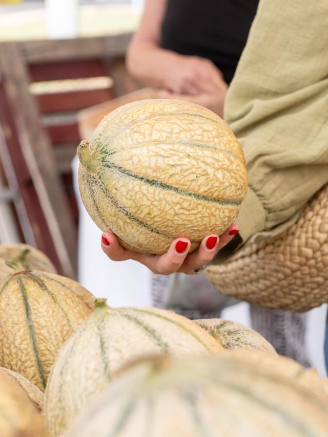 Les jours de marchés à Palavas-les-Flots 2023