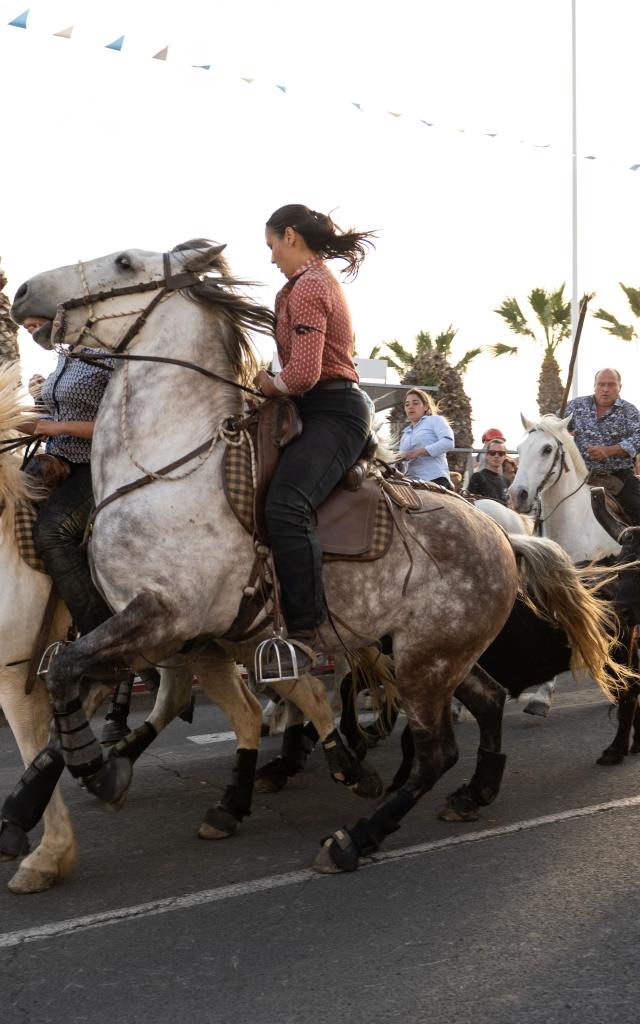 Les évènements incontournables de Palavas, abrivado à côté des Arènes : Palavas-les-Flots