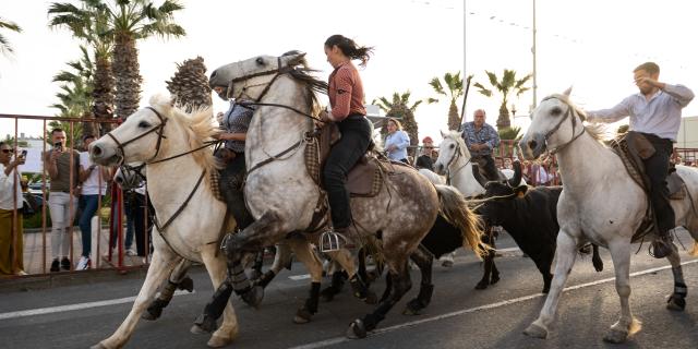 Les évènements incontournables de Palavas, abrivado à côté des Arènes : Palavas-les-Flots