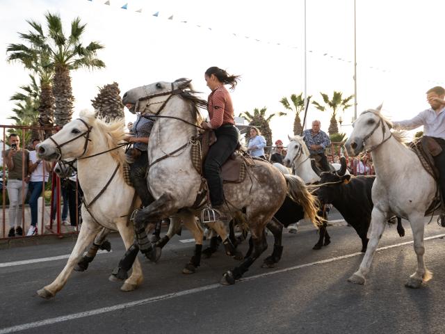 Les évènements incontournables de Palavas, abrivado à côté des Arènes : Palavas-les-Flots