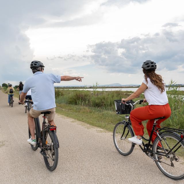 Balade à vélo vers les étangs : à Palavas-les-Flots, tourisme durable et responsable