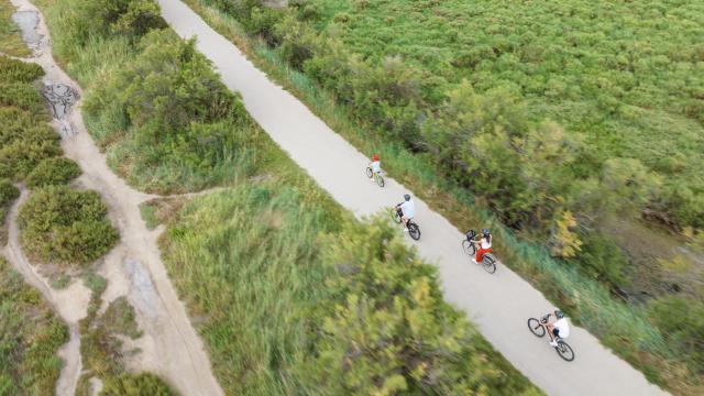 Tourisme durable : balade à vélo vers les étangs découverte de Palavas-les-Flots