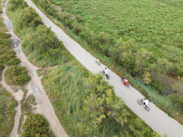 Tourisme durable : balade à vélo vers les étangs découverte de Palavas-les-Flots