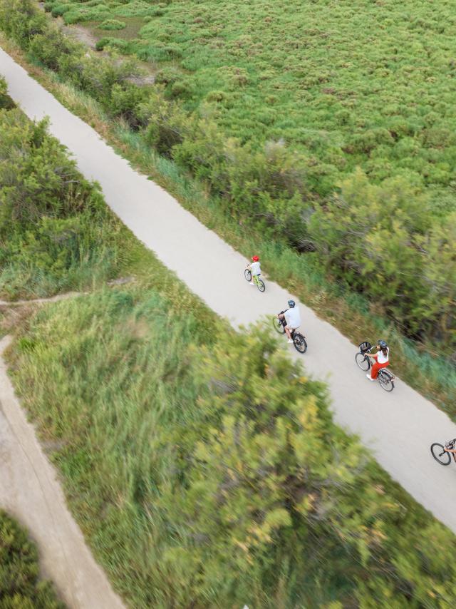 Tourisme durable : balade à vélo vers les étangs découverte de Palavas-les-Flots