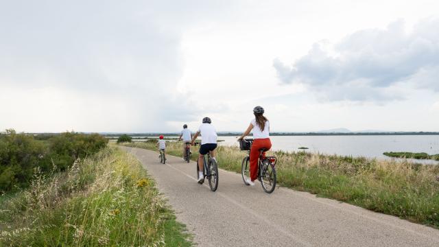 Palavas-les-Flots à vélo : découverte des étangs et côté nature