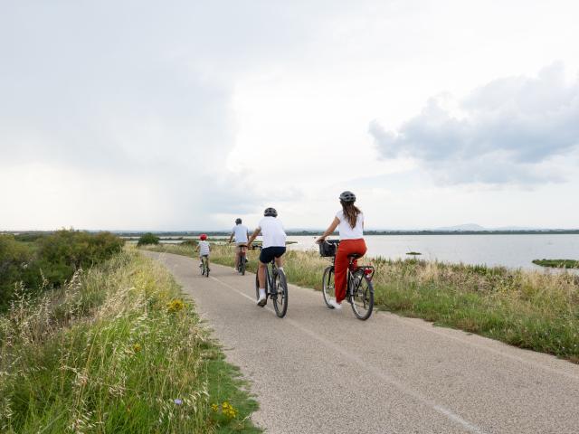 Palavas-les-Flots à vélo : découverte des étangs et côté nature