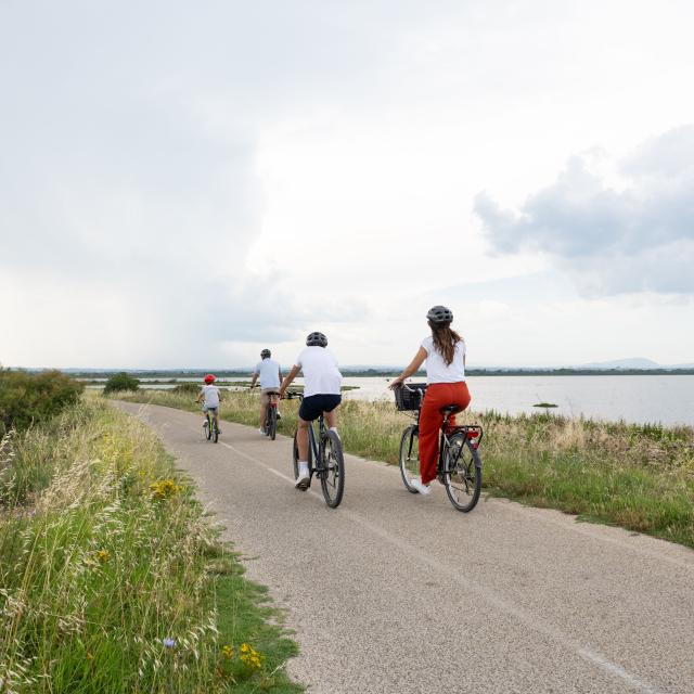 Palavas-les-Flots à vélo : découverte des étangs et côté nature