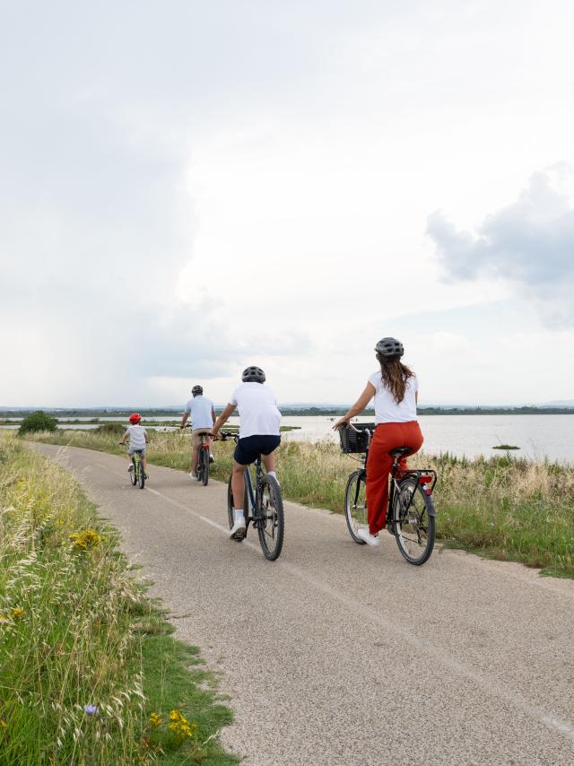 Palavas-les-Flots à vélo : découverte des étangs et côté nature