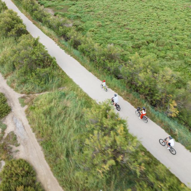 Palavas-les-Flots à vélo : découverte des étangs et côté nature