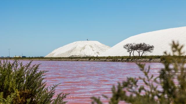 Aigues-Mortes Camargue