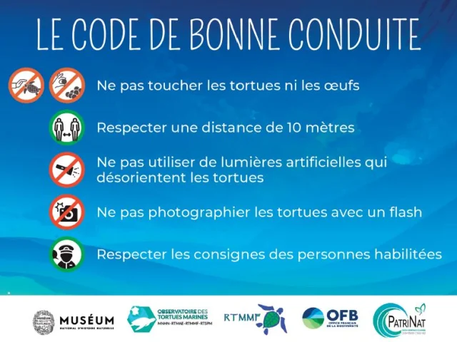 Code De Bonne Conduite Tortue Marine