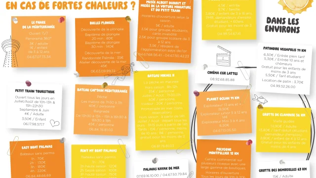 Que Faire En Cas De Fortes Chaleurs 2024 Page 0001