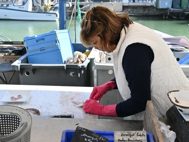 Retour de pêche à Palavas-les-Flots 2024