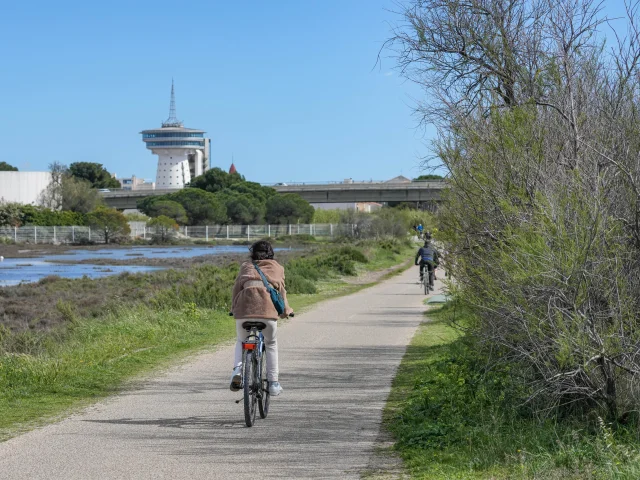 Piste cyclable à Palavas