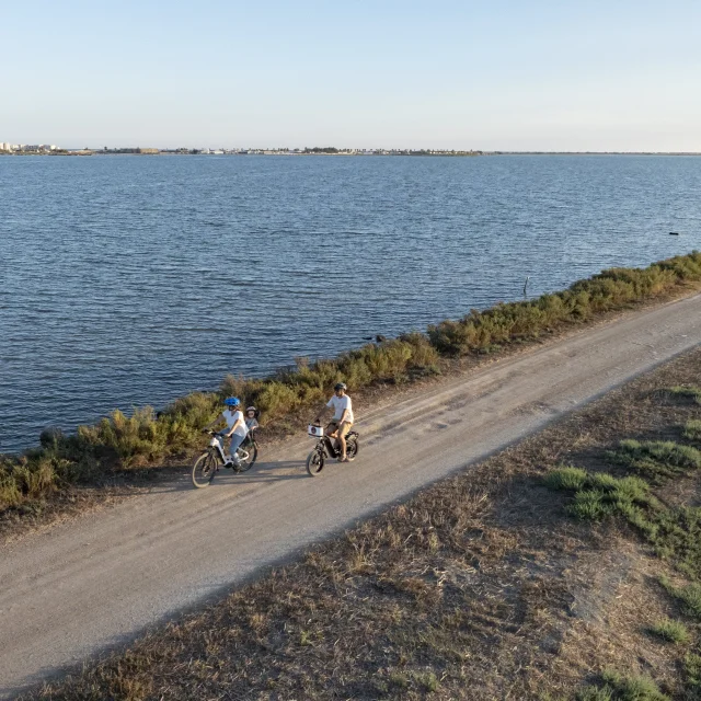 Les étangs à vélo à Palavas